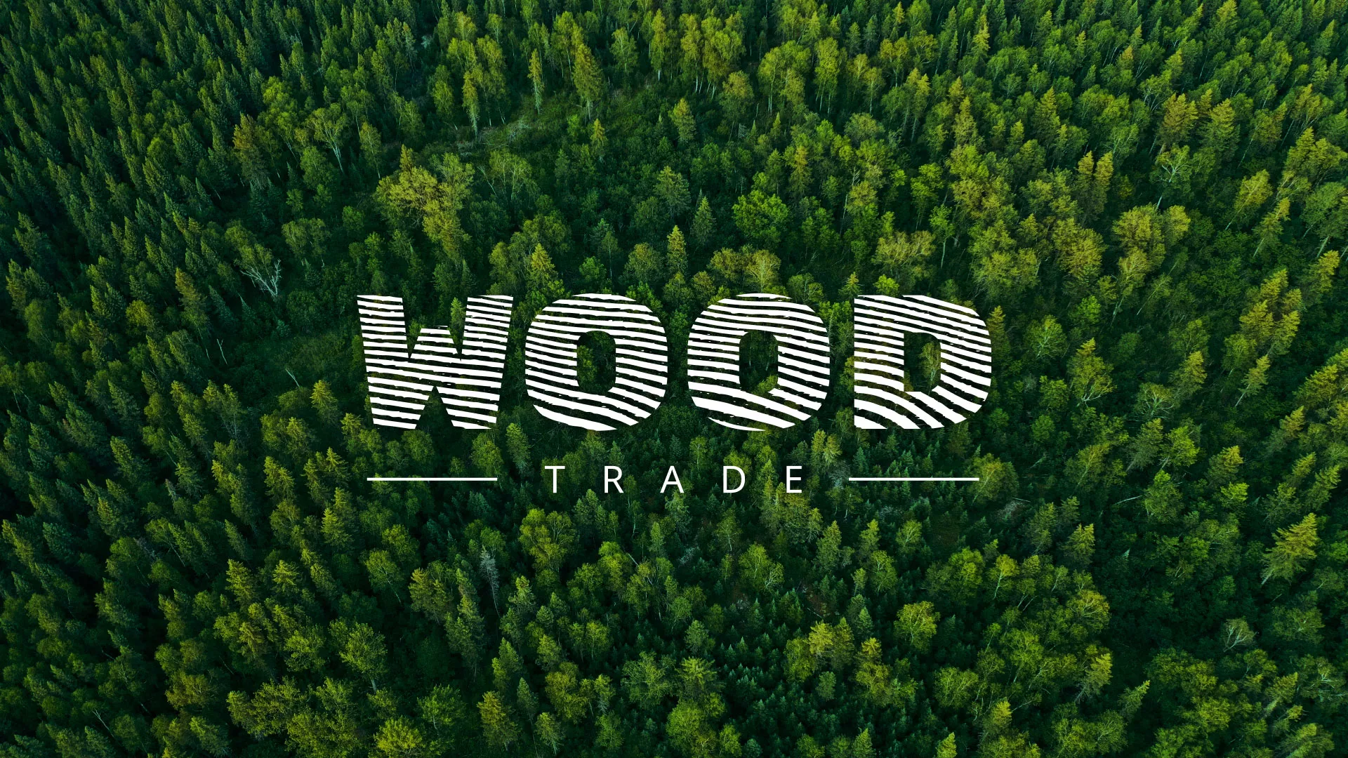 Разработка интернет-магазина компании «Wood Trade» в Северодвинске